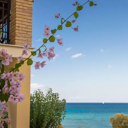 Appartement Calypso Amoudi