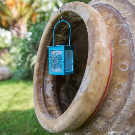 Calypso アパート アモウディ