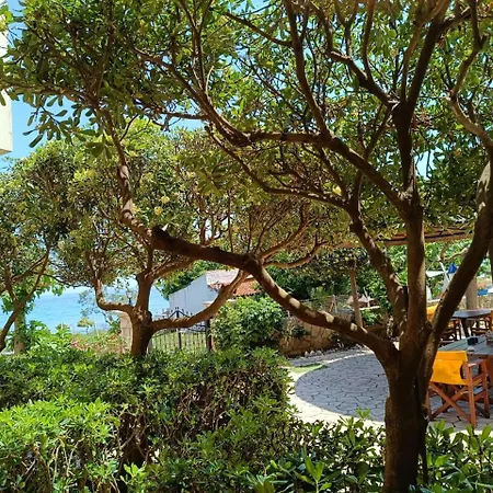 アパート Calypso アモウディ