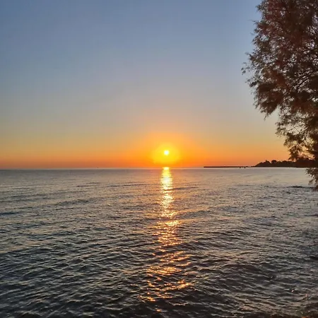 Calypso アパート アモウディ